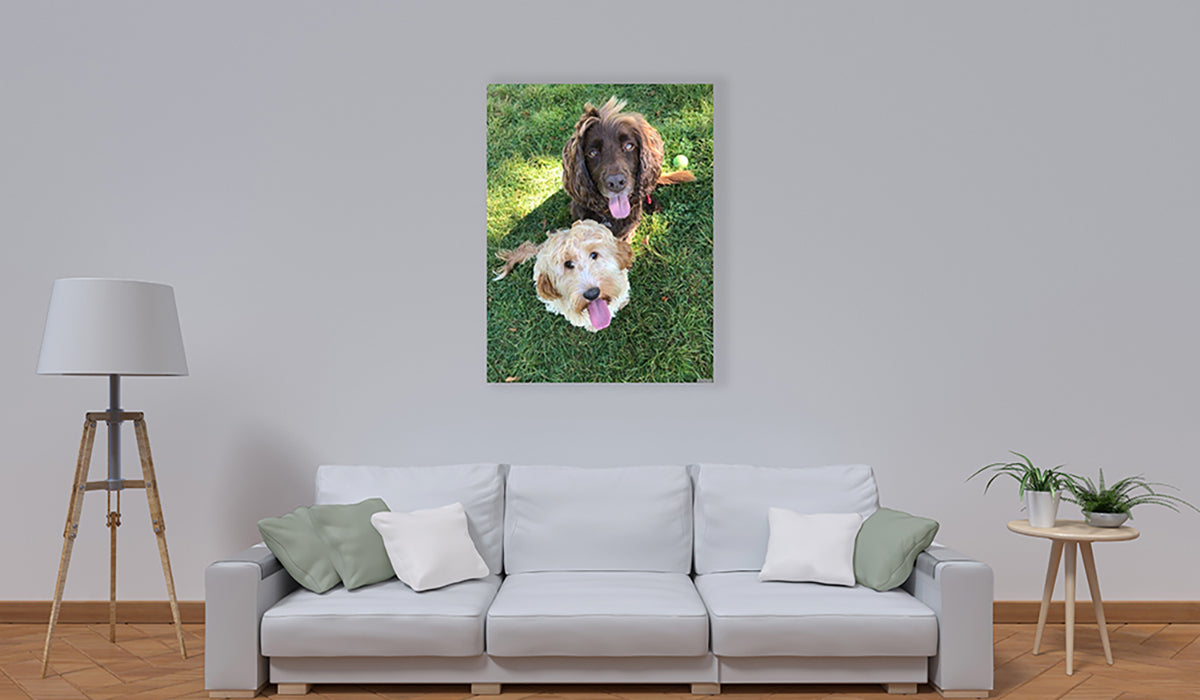 Herschel Inspire – Infrared Picture Panel