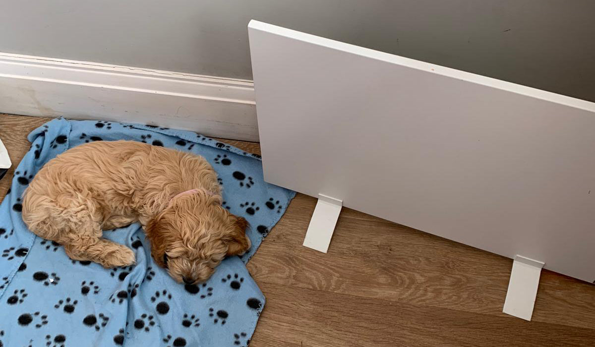 Herachel Select – 220 Watt Infrared Under Desk Heater